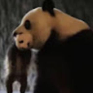 Meet your Posher, Du